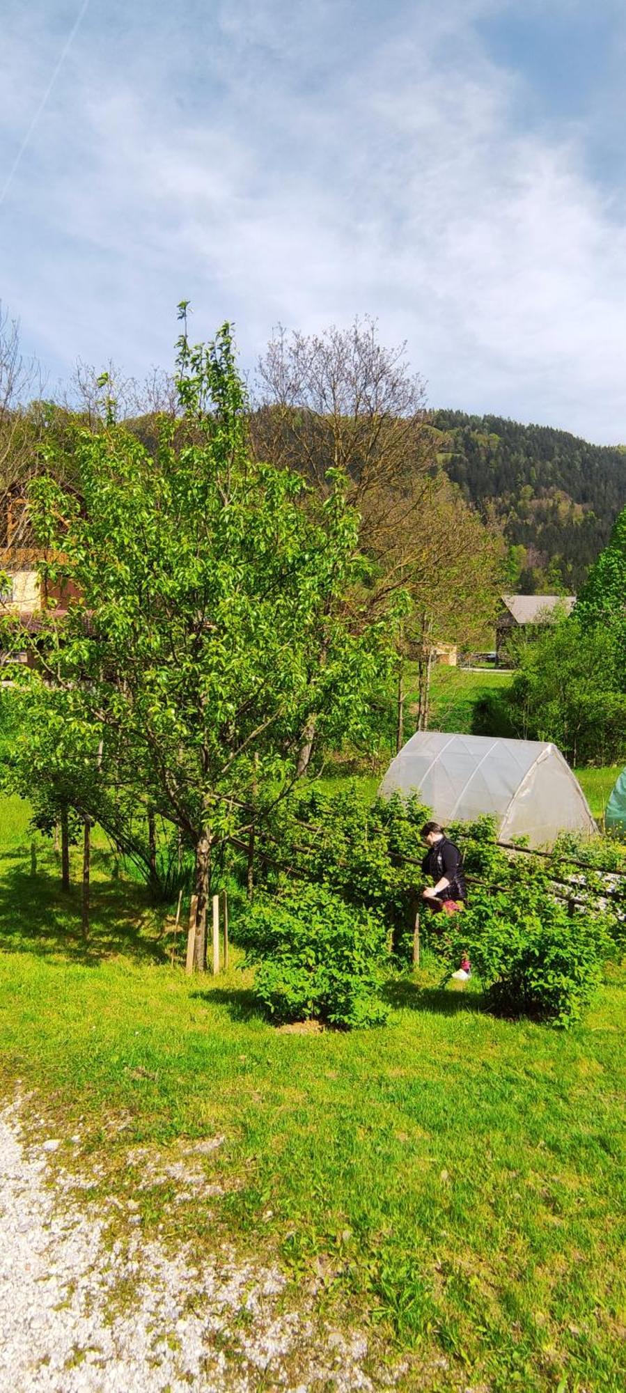 Domacija Markc Zelezniki Bagian luar foto