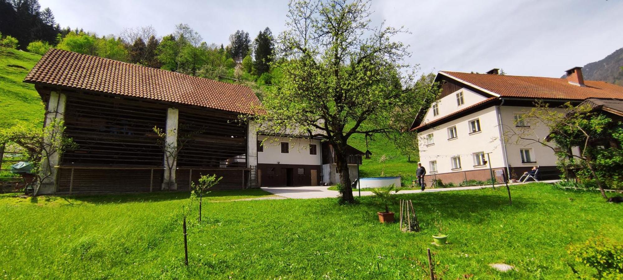 Domacija Markc Zelezniki Bagian luar foto